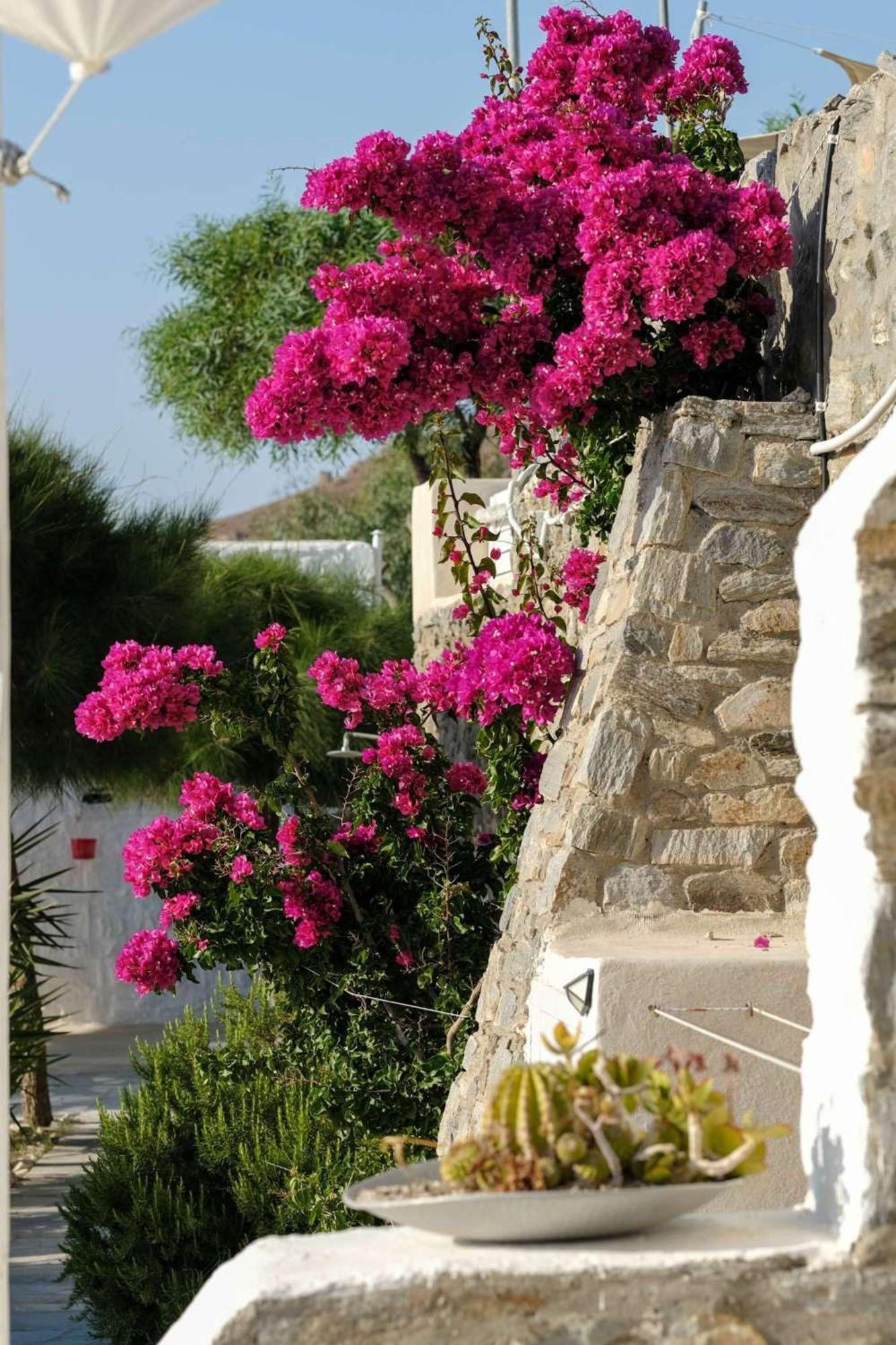 3 Paros All Season Villas Zewnętrze zdjęcie